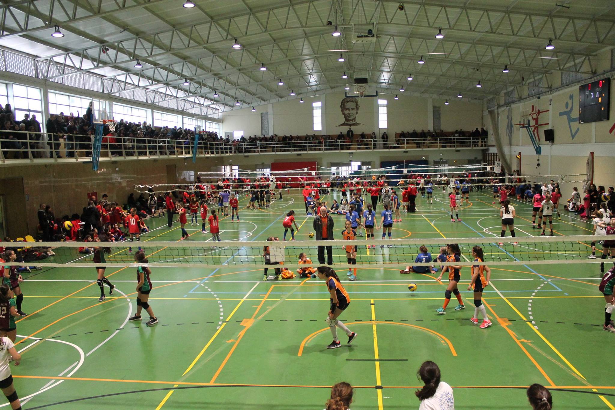 29177747 1211655862271423 777531299828072448 n f7954