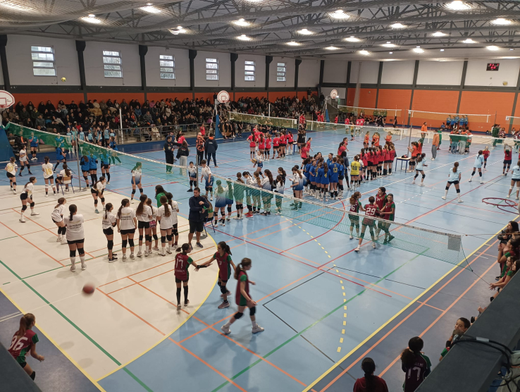 RESULTADOS 5º CIRCUITO REGIONAL MINIVOLEIBOL AVL "PROFESSOR ANTÓNIO MARTINS" 24/25 - ZONA C