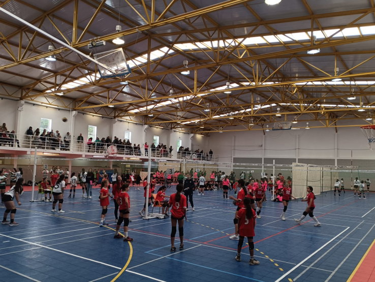 RESULTADOS 9º CIRCUITO REGIONAL MINIVOLEIBOL AVL "PROFESSOR ANTÓNIO MARTINS" 24/25