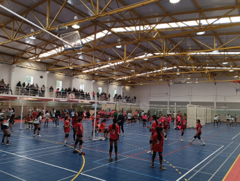 RESULTADOS 9º CIRCUITO REGIONAL MINIVOLEIBOL AVL "PROFESSOR ANTÓNIO MARTINS" 24/25