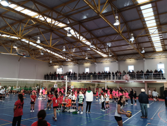 6º CIRCUITO REGIONAL MINIVOLEIBOL AVL "PROFESSOR ANTÓNIO MARTINS" 24/25 - ZONA C