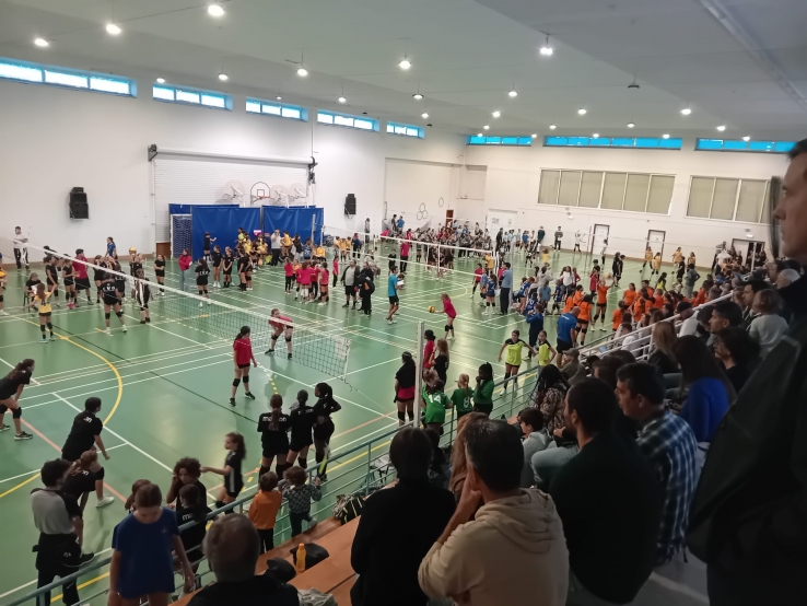 RESULTADOS CIRCUITO REGIONAL MINIVOLEIBOL "PROFESSOR ANTÓNIO MARTINS "24/25 ZONA A
