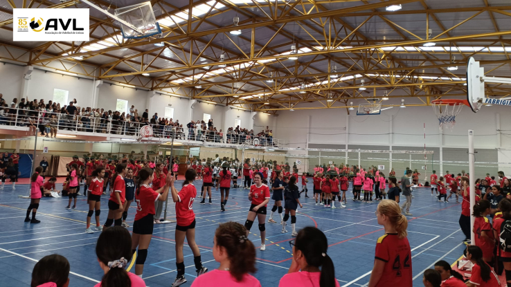 9º Torneio Minivoleibol Circuito Regional AVL "Professor António Martins" 2024/2025