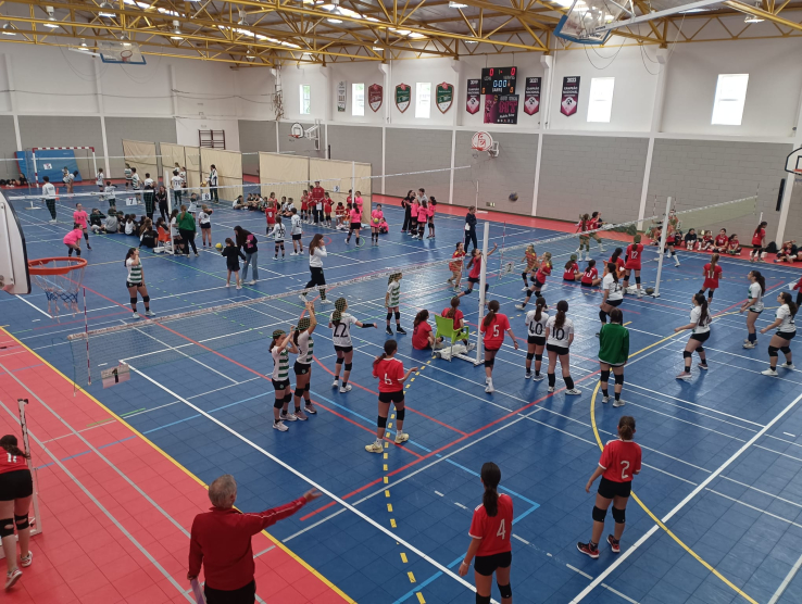 12º Torneio Minivoleibol Circuito Regional AVL "Professor António Martins" 2024/2025