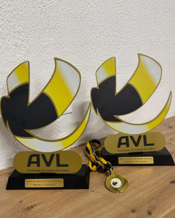 Clube de Voleibol de Oeiras são Campeões Regionais de Veteranos Femininos e Masculinos