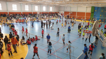 8º Torneio Minivoleibol Circuito Regional AVL "Professor António Martins" 2024/2025