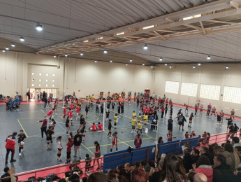 11º Torneio Minivoleibol Circuito Regional AVL "Professor António Martins" 2024/2025