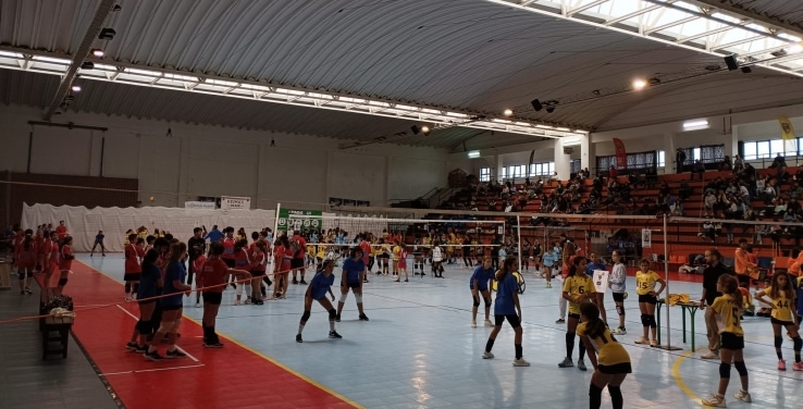 3º CIRCUITO REGIONAL MINIVOLEIBOL AVL "PROFESSOR ANTÓNIO MARTINS " 23/24