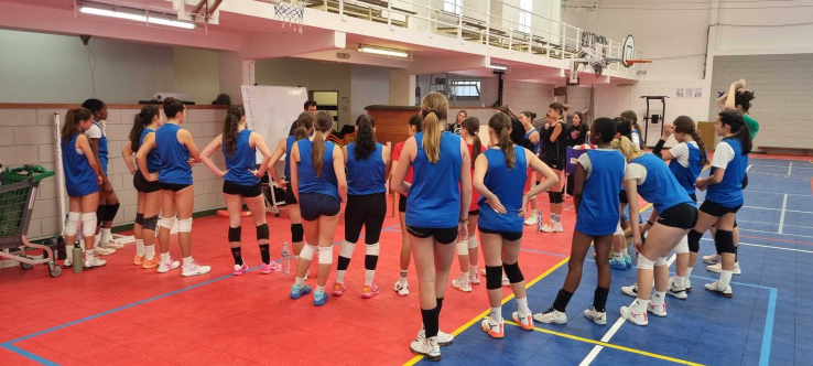 OBSERVAÇÃO NACIONAL DE JOGADORAS (2011, 2012 E 2013)