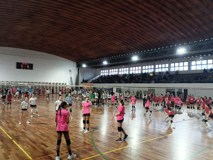 RESULTADOS 5º CIRCUITO REGIONAL MINIVOLEIBOL AVL "PROFESSOR ANTÓNIO MARTINS" 24/25
