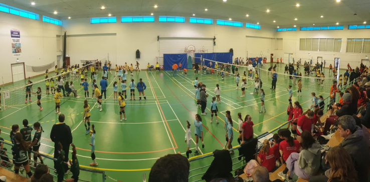 RESULTADOS 6º CIRCUITO REGIONAL MINIVOLEIBOL AVL "PROFESSOR ANTÓNIO MARTINS" 24/25